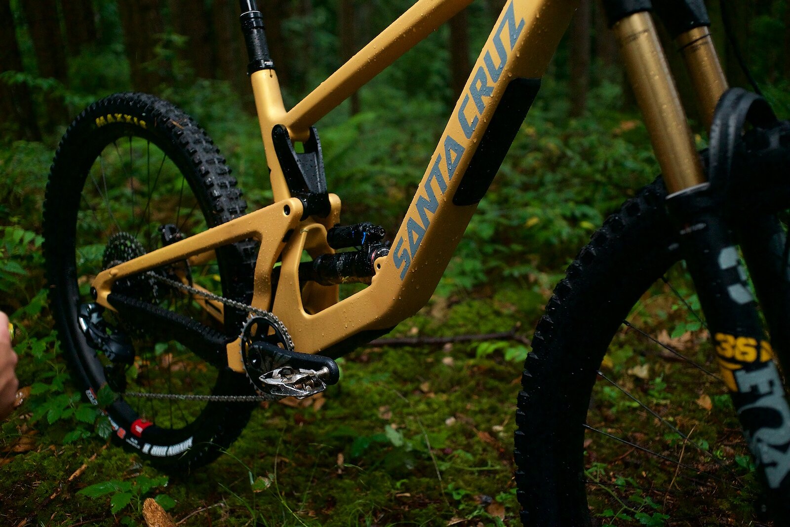 Bike Review Santa Cruz Bronson X01 AXS Carbon CC MX Freehub Magazine